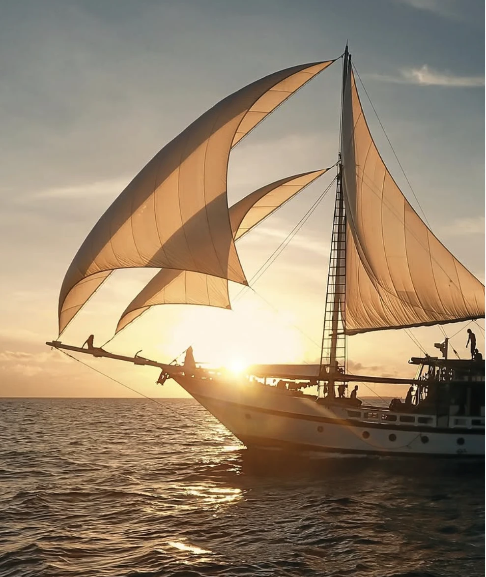 Teman Liveaboard
